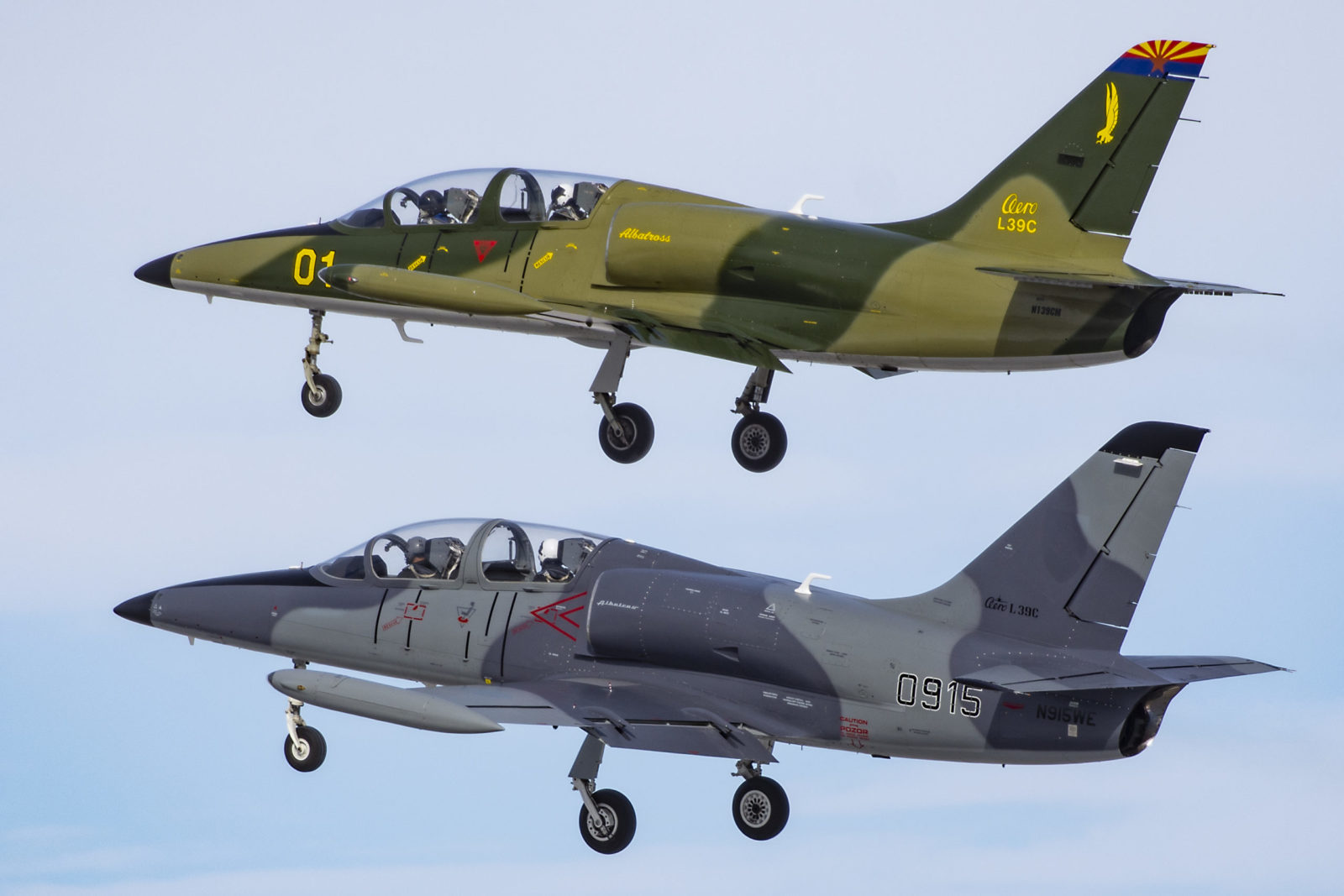 Photo of two L-39 aircraft in the sky with landing gear down.