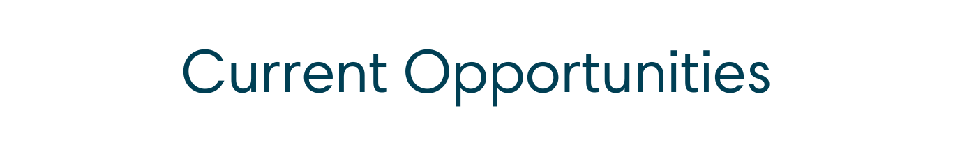 Website Ind. Profiles (16)