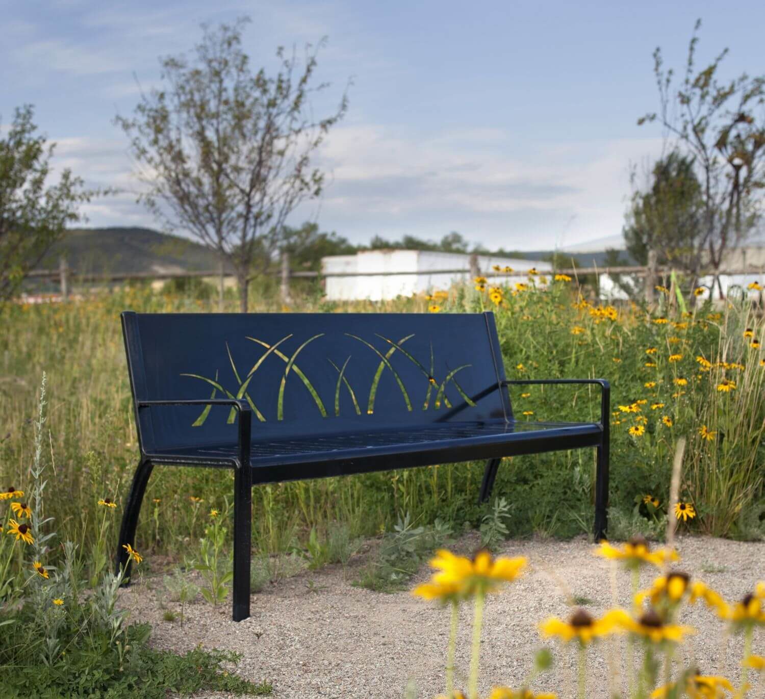 Black bench in long gras with yellow flowers