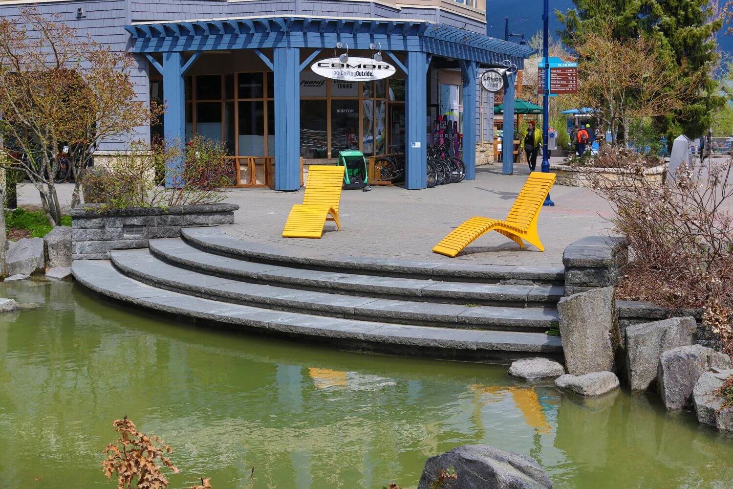 Yellow chairs overlooking a green pond