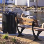 Wooden Bench and Black Bin