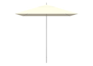 White Umbrella