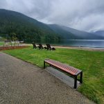 Three lounge chairs and a wood bench overlook a calm lake