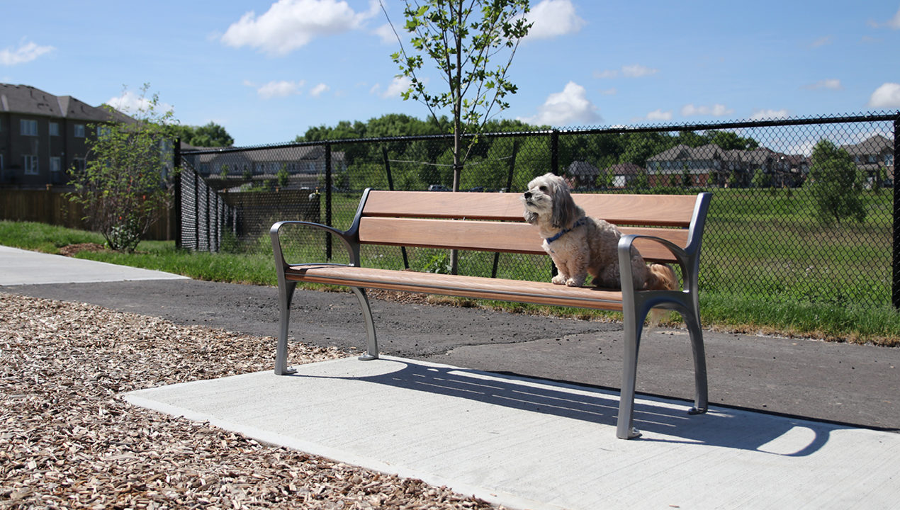 mbe-0870-bench-ipe-wood-dog-rusty MBE-0870 Ipe Wood Bench featuring Rusty the dog