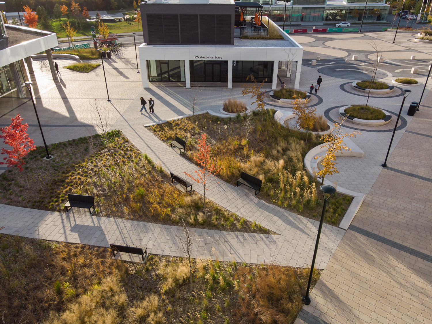 agora-birds-eye-paths-ogden-backed-backless-benches Over head view of the green space at AGORA Plaza in autumn. The image shows the pathways lined by comfortable Ogden benches.