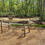 Rosedale Nature Park natural park elements surrounded by trees, woodchips and Maglin benches