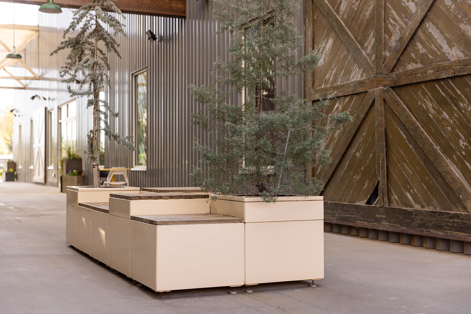 Ivory Pixel configuration with trees at Camp North End