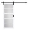 Pavilion 5 Lite Barn Door Bright White Product