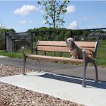 870 Wood Bench in Townhome complex with Rusty the dog