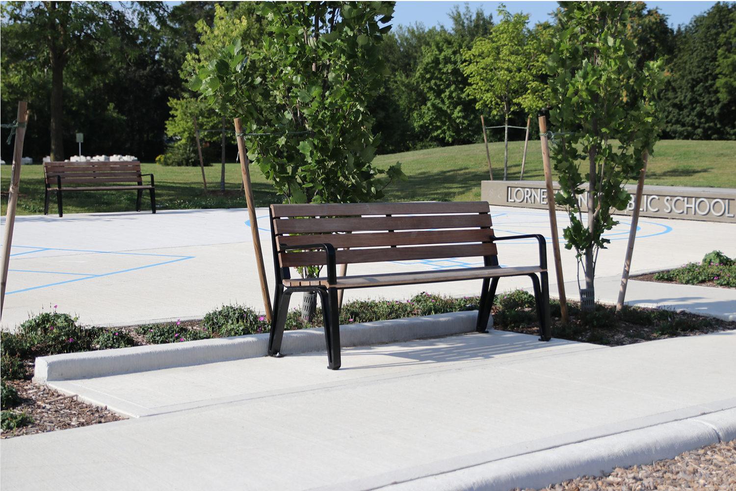 Iconic Backed Benches surrounded by trees in park setting