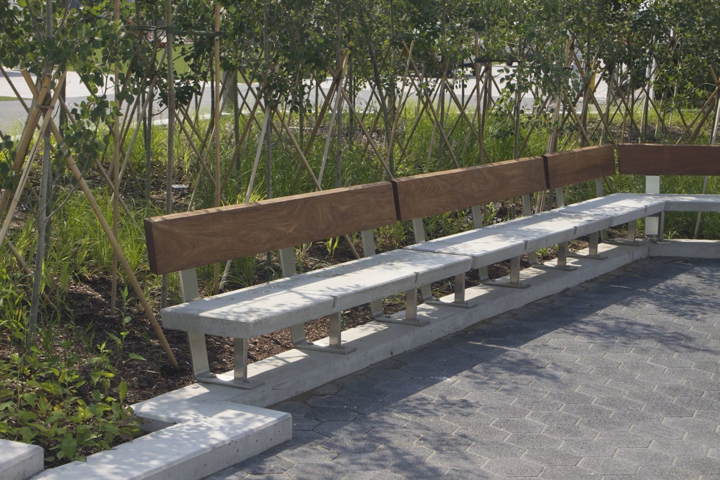 Multiple interconnected backed benches