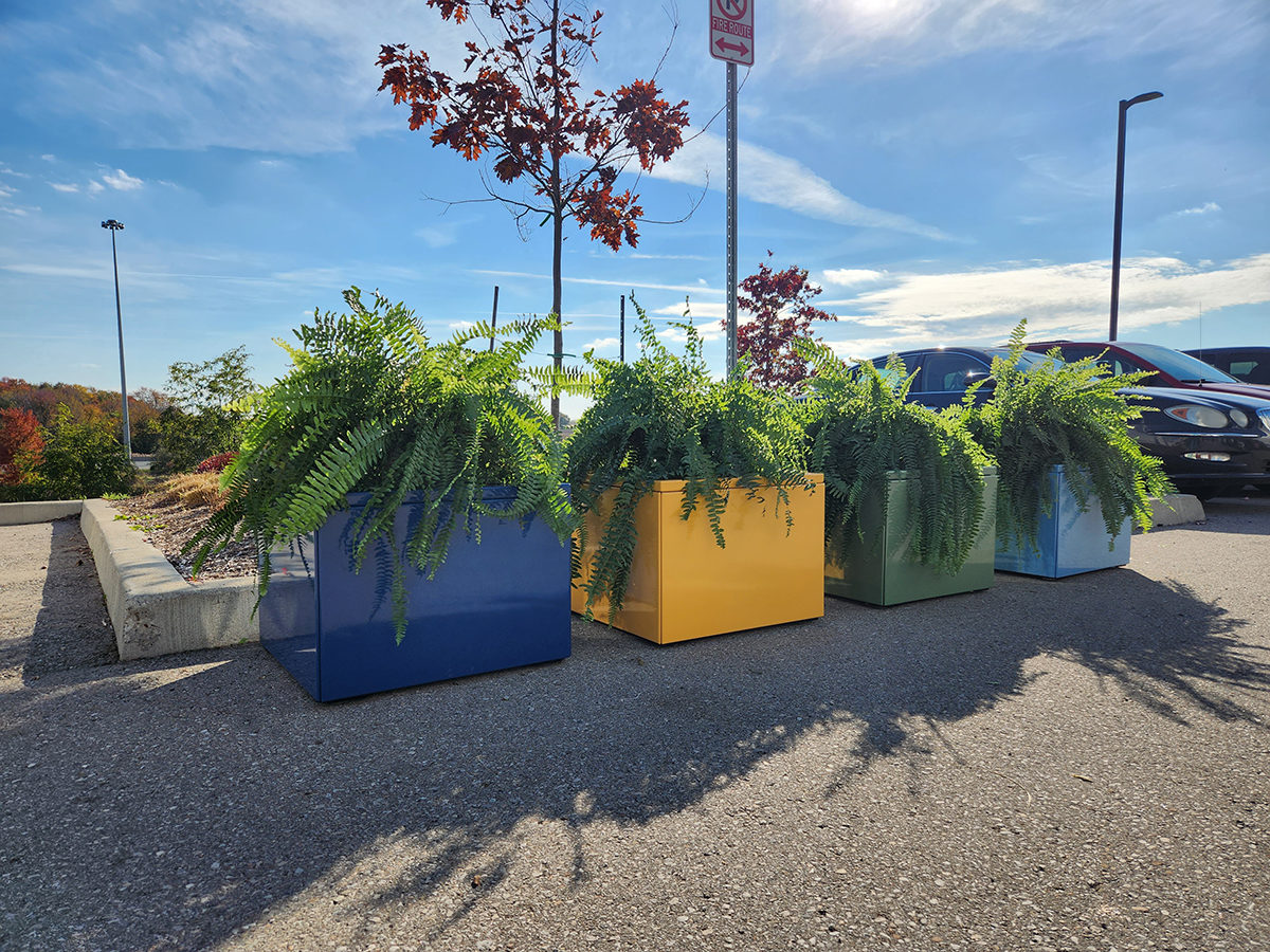 Four Pixel Collection Planters with ferns in new mellow colors in a parking lot.