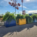 Four Pixel Collection Planters with ferns in new mellow colors in a parking lot.