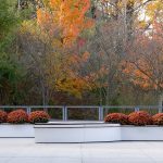 CANOE modular planters, powdercoated white gloss with orange mums and bench seating, against fall trees