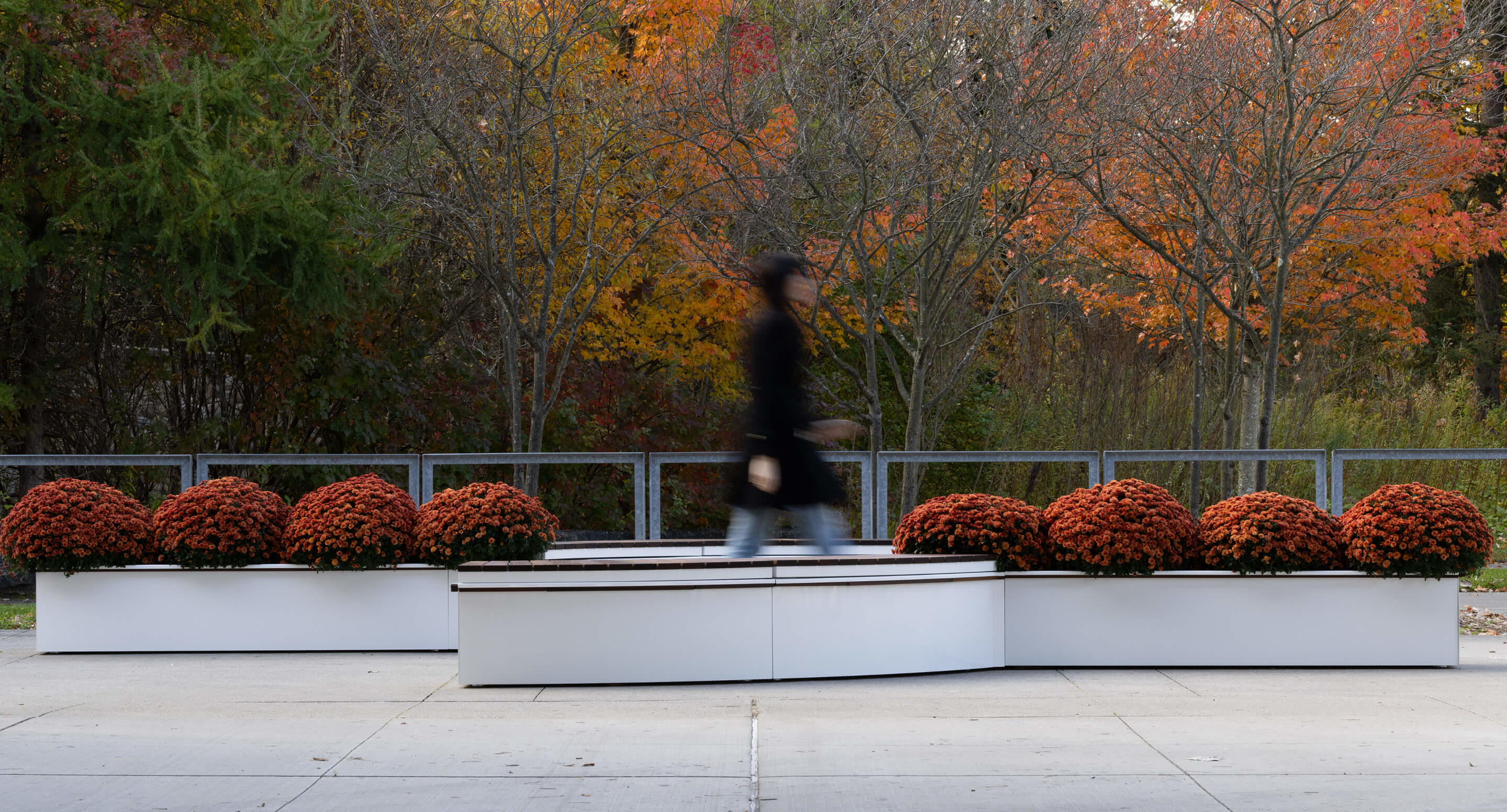 maglin_canoe-planters_1