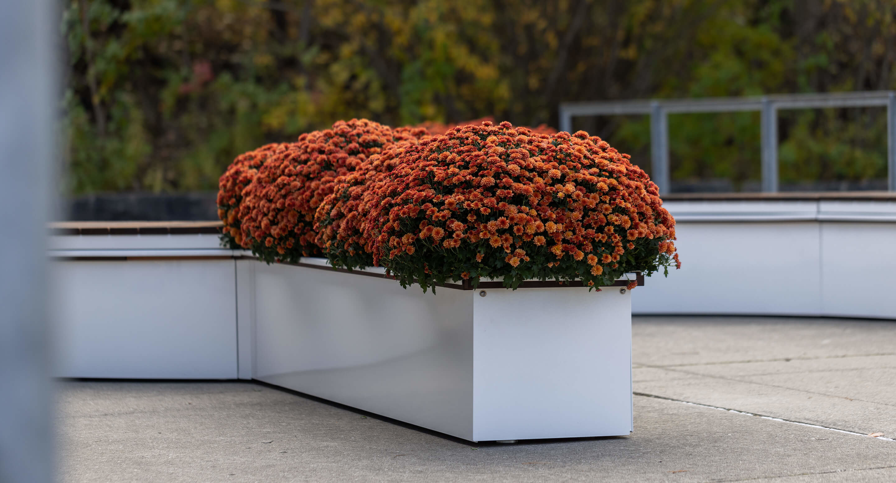 maglin_canoe-planters_3